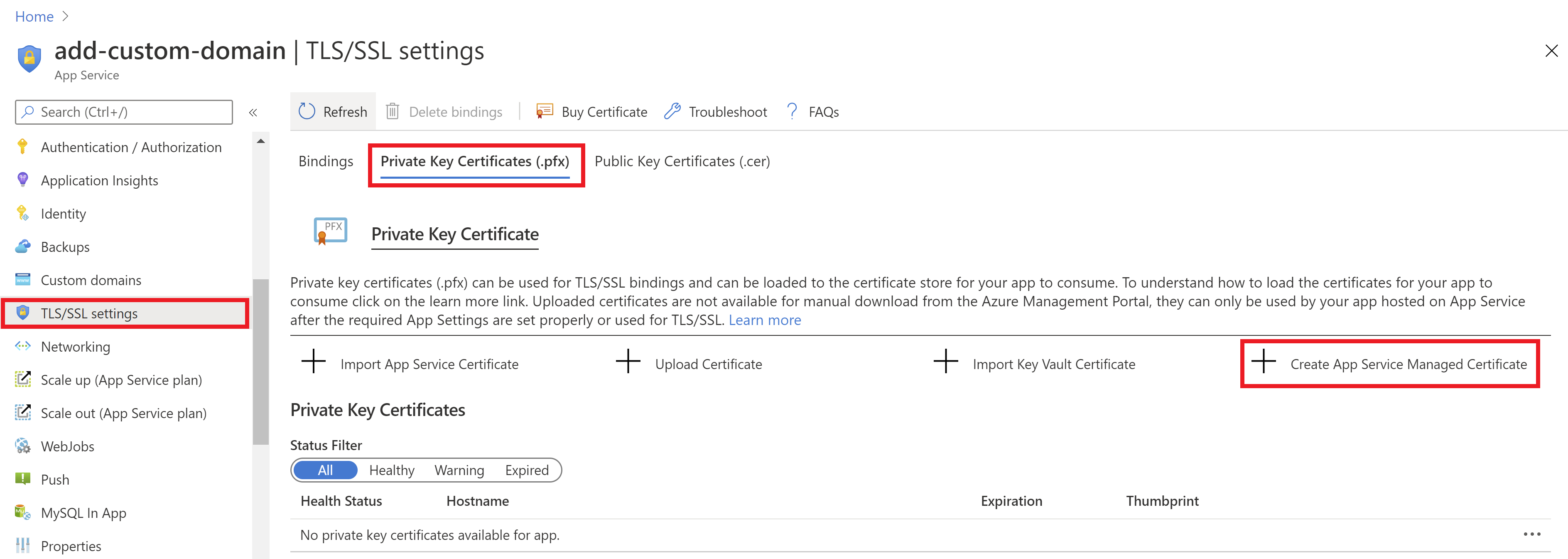 Custom Domain Verification ID